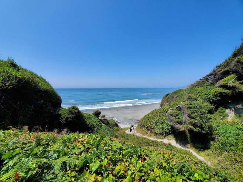 11 California Nature Escapes Where Wildflowers, Birds, And Green Summer Scenery Come Together - Decor Hint Sue-meg State Park, Trinidad