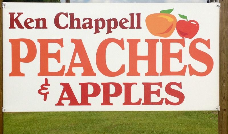 Ken Chappell's Peaches And Apples