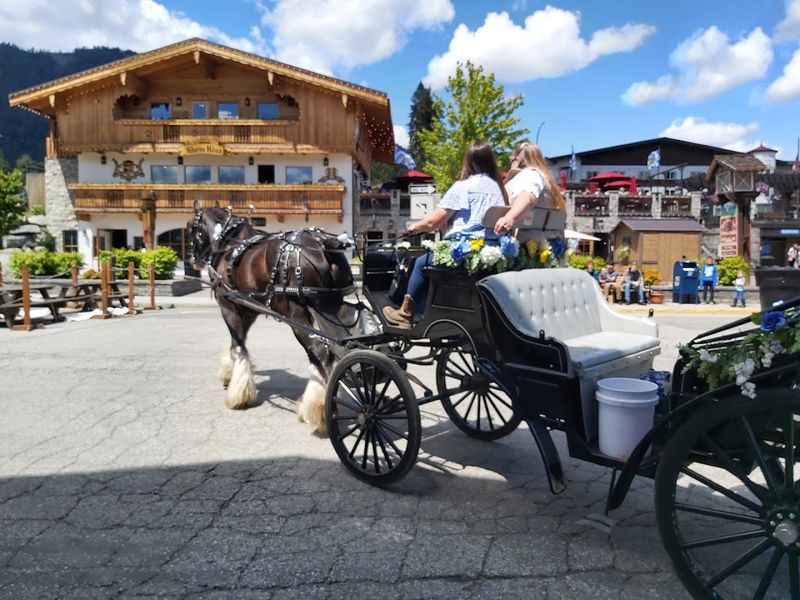 10 Breathtaking Day Trips In Washington You'll Be Talking About Long After - Decor Hint Leavenworth
