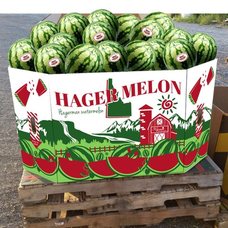 You Look At Idaho Watermelon A Little Differently After This