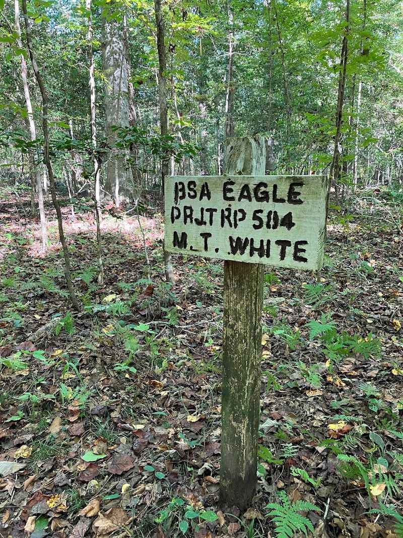 Read The Interpretive Posts Before You Rush Past The Best Clues