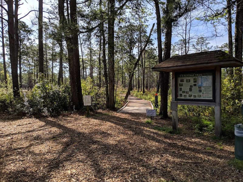 Visit The Visitor Center Before Heading Into The Pocosin Habitat