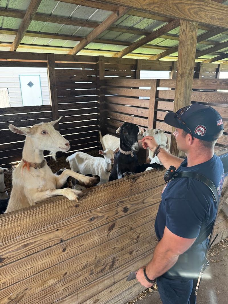 Circle Bar C Goat Dairy, Indiantown