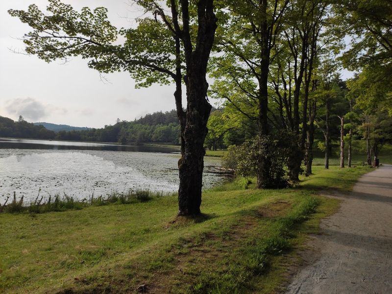 Bass Lake Trail 