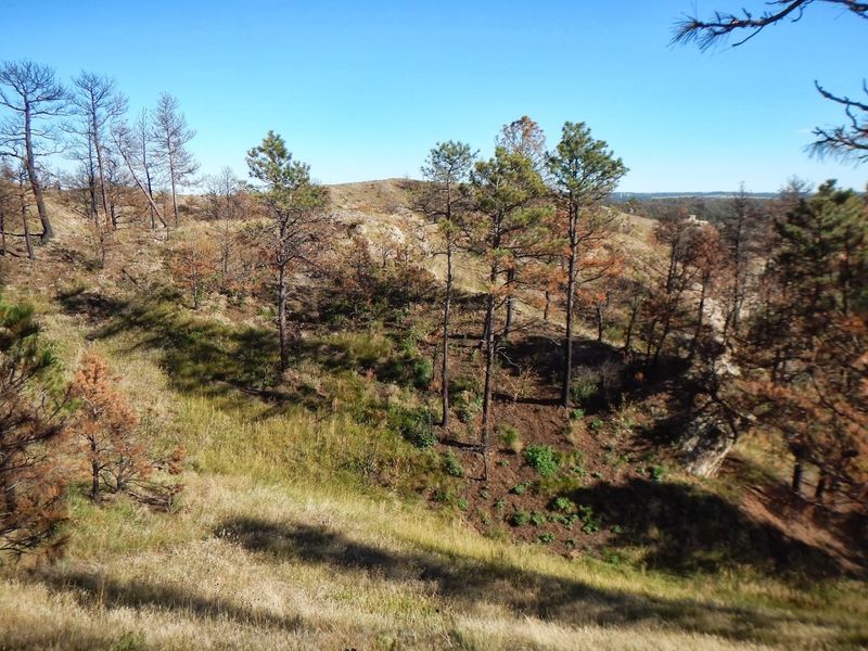 Nebraska's 10 Best Places To Hunt For Agates, Fossils, Petrified Wood, And Other Natural Treasures - Decor Hint Pine Ridge Region, Northwestern Nebraska