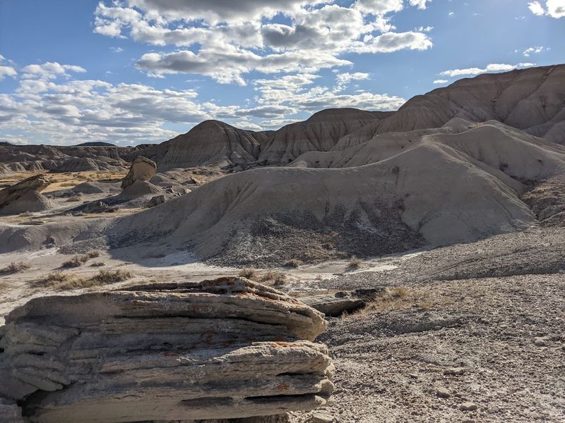 Agate Reservoir Area, Oglala National Grassland