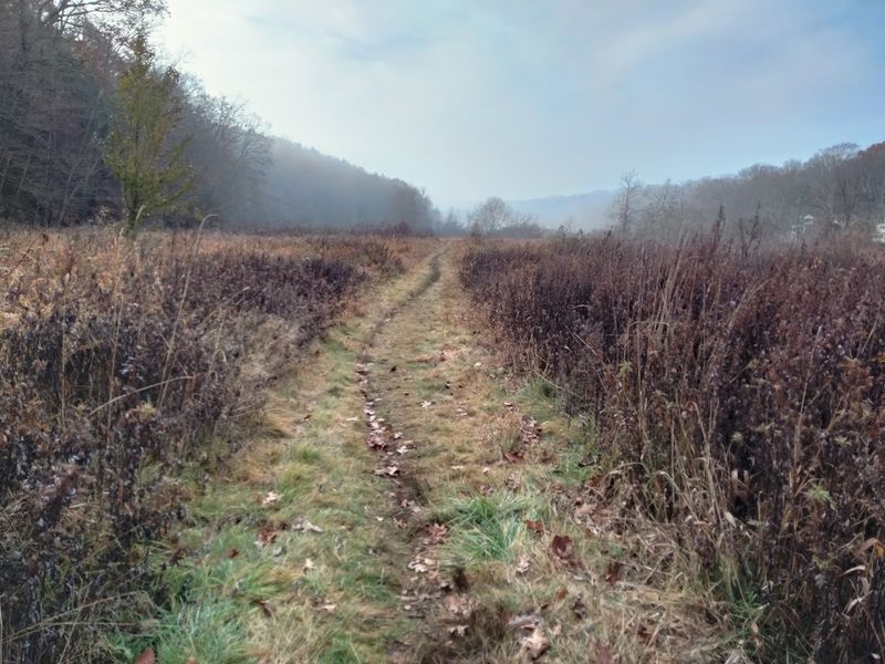 The Overlooked State Park In Connecticut You've Likely Never Heard Of - Decor Hint Quiet Paths Connect With Machimoodus