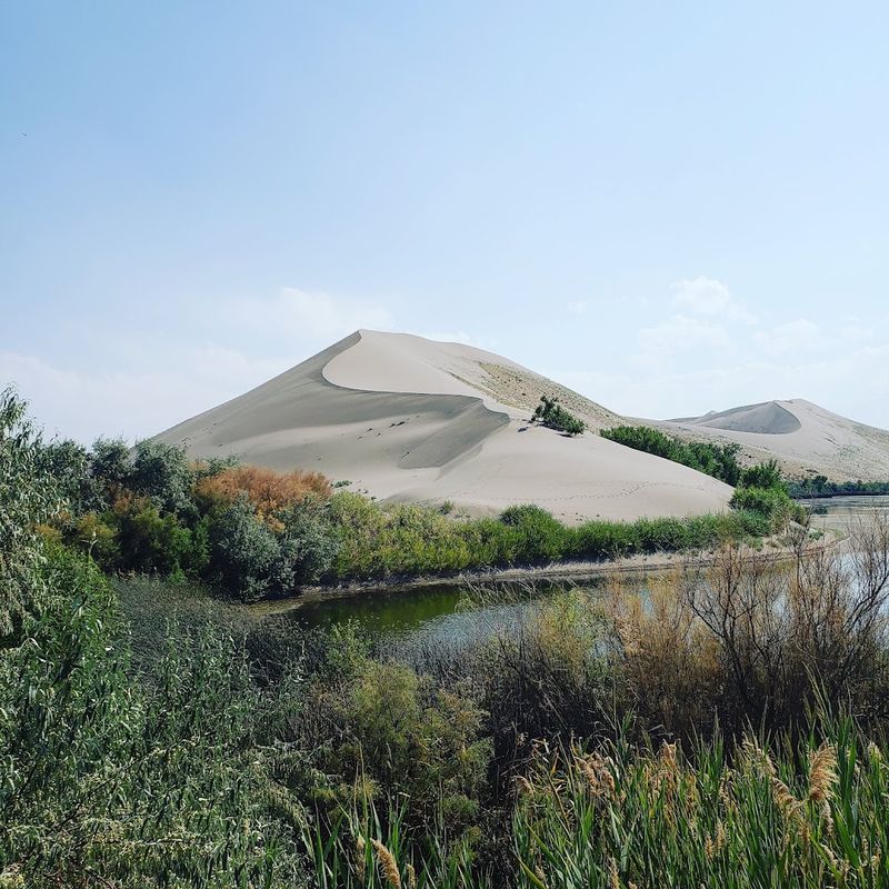 Bruneau Dunes State Park
