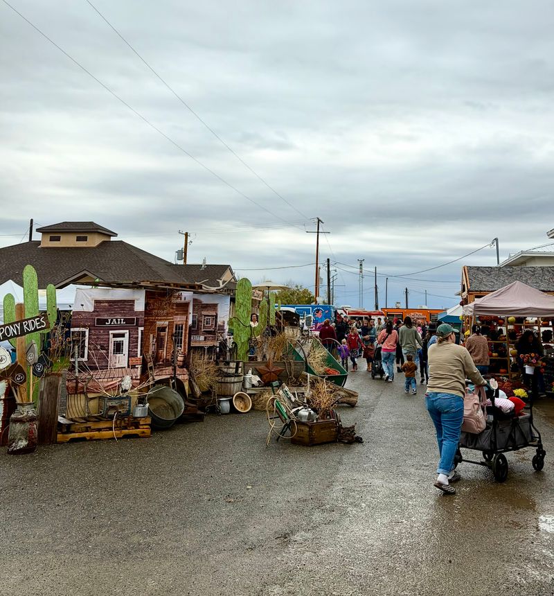 Vintage Vixens Market, Filer