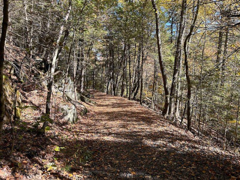 Short Trail With Big Rewards