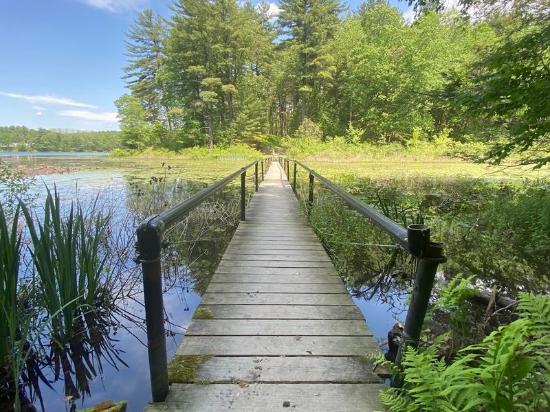 One Of New York's Most Stunning Botanical Gardens, And Barely Anyone Knows It's There - Decor Hint The Place That Stops You Cold