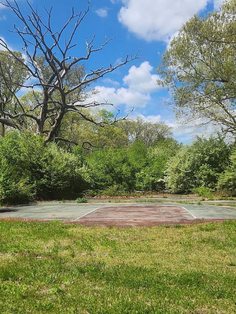 The Overlooked State Park In Connecticut You've Likely Never Heard Of - Decor Hint Old Foundations Hide Among The Trees