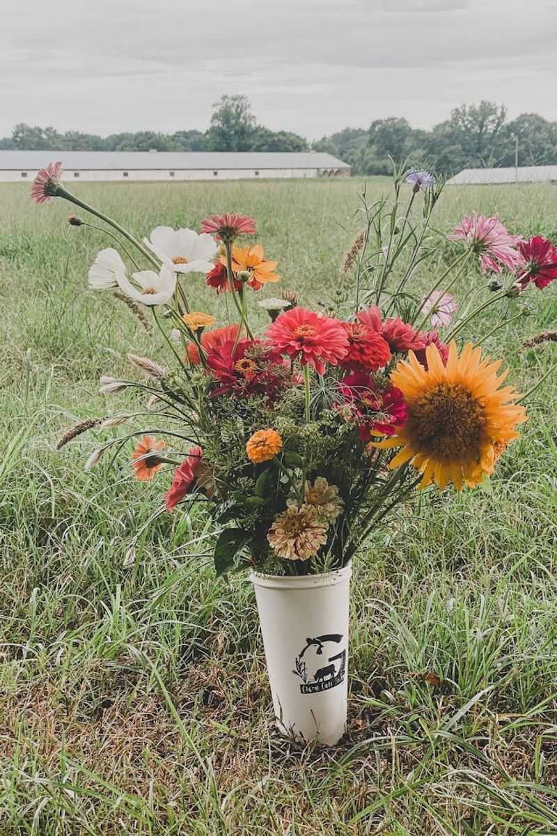 This Charming Georgia Farm Lets You Pick Fresh Flowers, Seasonal Produce, And Pure Country Peace - Decor Hint Why This Farm Deserves A Spot On Your Weekend List
