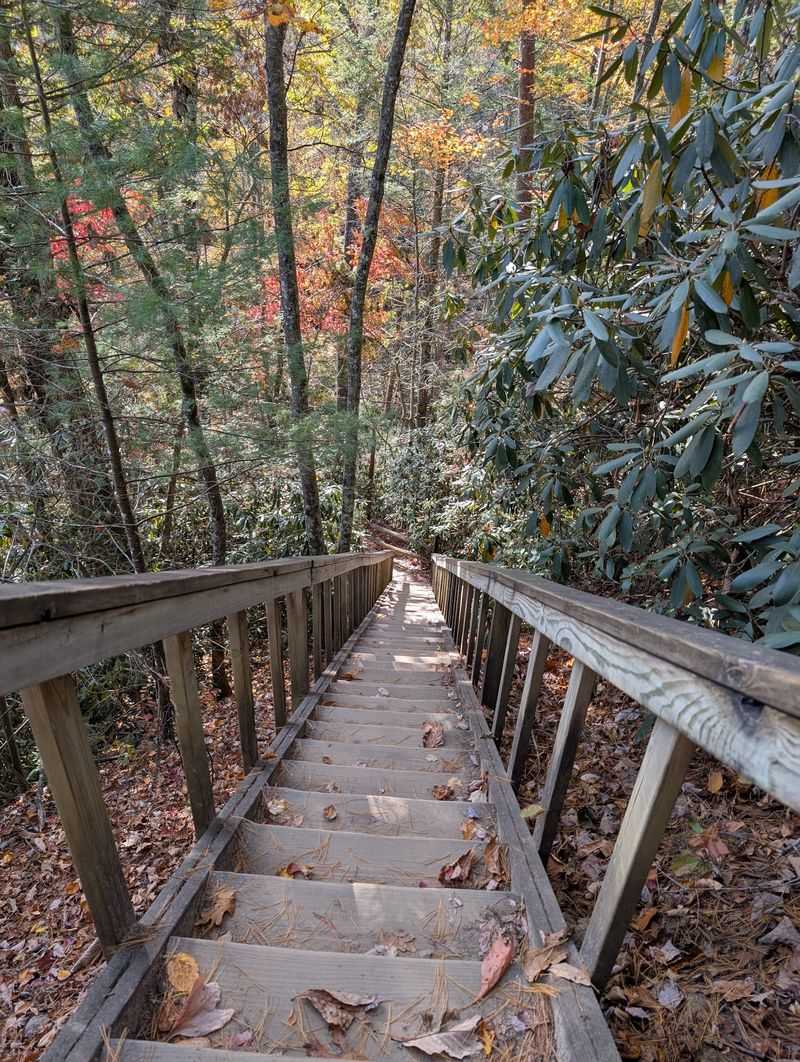 Gray's Arch Trail, Red River Gorge