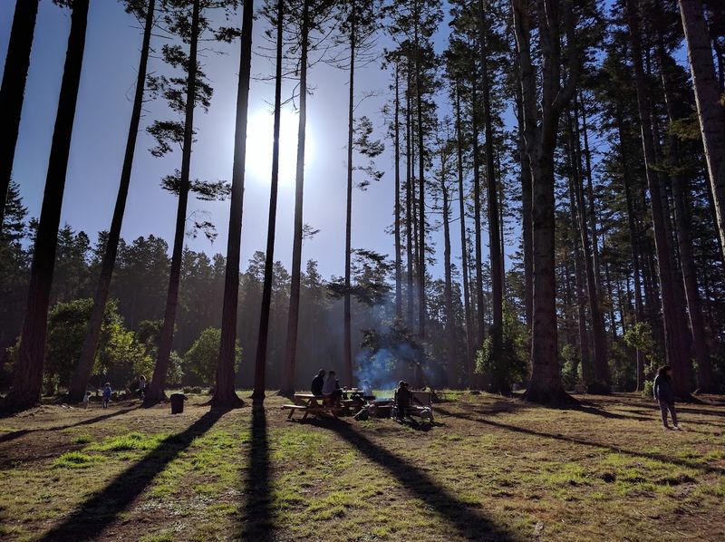 This California Glamping Retreat Puts Heated Beds And Hot Showers In A Coastal Forest - Decor Hint Daily Yoga Is Part Of The Stay