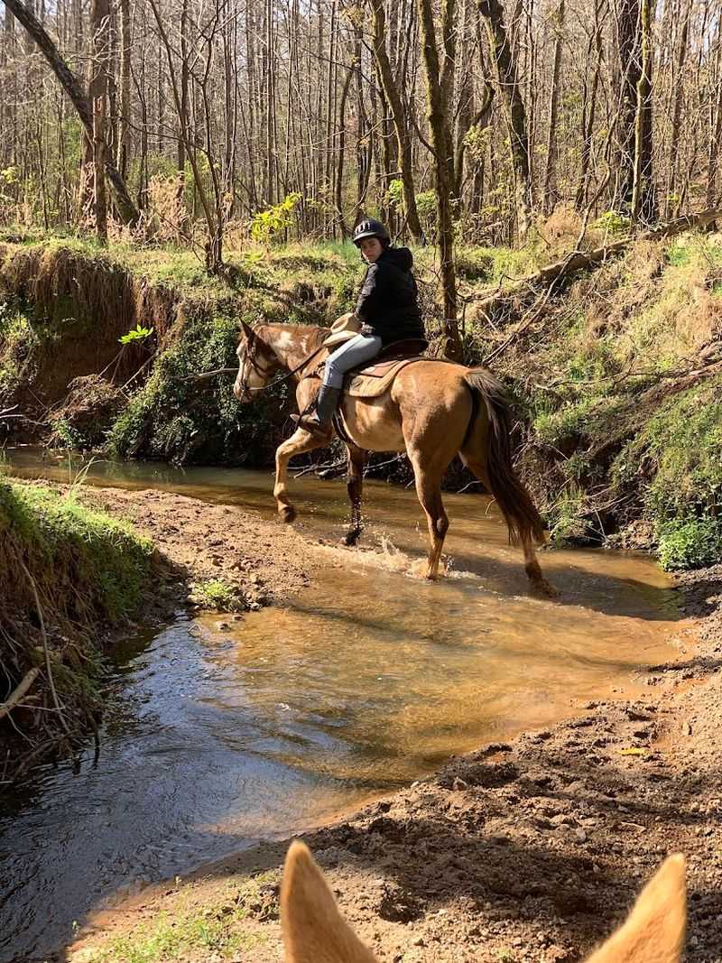 Wooded Trail Rides Through Six Miles Of Scenic Georgia Land