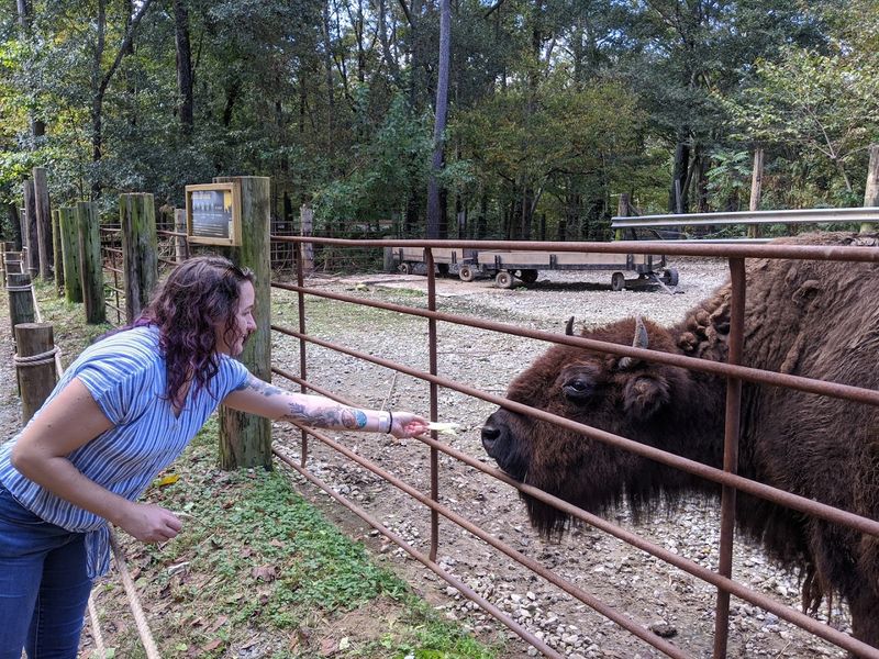 This Incredible Wildlife Sanctuary In Georgia Is Perfect For Families - Decor Hint Feed The Animals Up Close And Personal