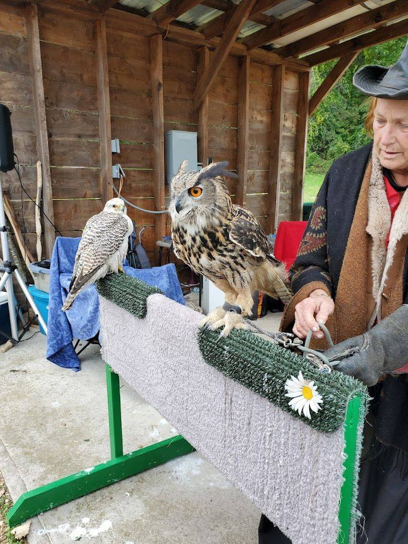 Live Entertainment Keeps The Energy Going All Day