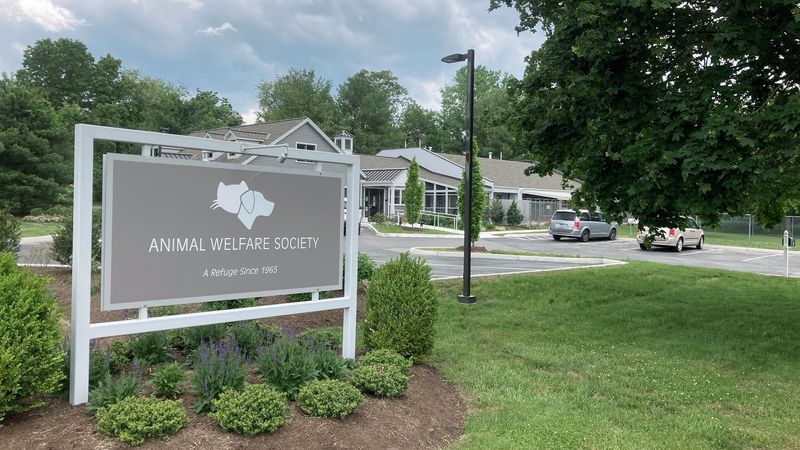 Animal Welfare Society, New Milford