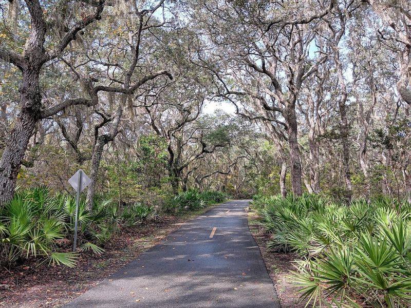 13 Florida Hikes Under Five Miles That Reward You With Amazing Views - Decor Hint Blackrock Trail To Boneyard Beach, Big Talbot Island State Park, Jacksonville