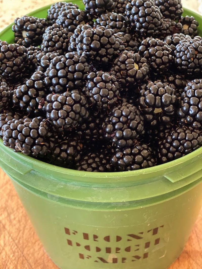 Front Porch Farm, Healdsburg