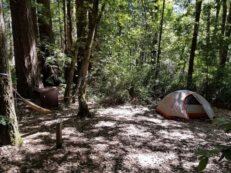 Backpack 5.5 Miles To The Remote Butano Trail Camp