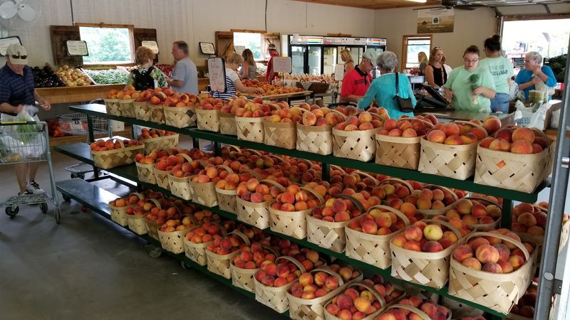 12 Hidden Farm Markets In Georgia With Homemade Pies, Jams, And Fresh Produce - Decor Hint Osage Farms, Rabun Gap