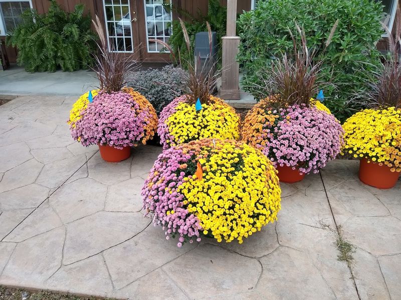 The Garden And Outdoor Experience