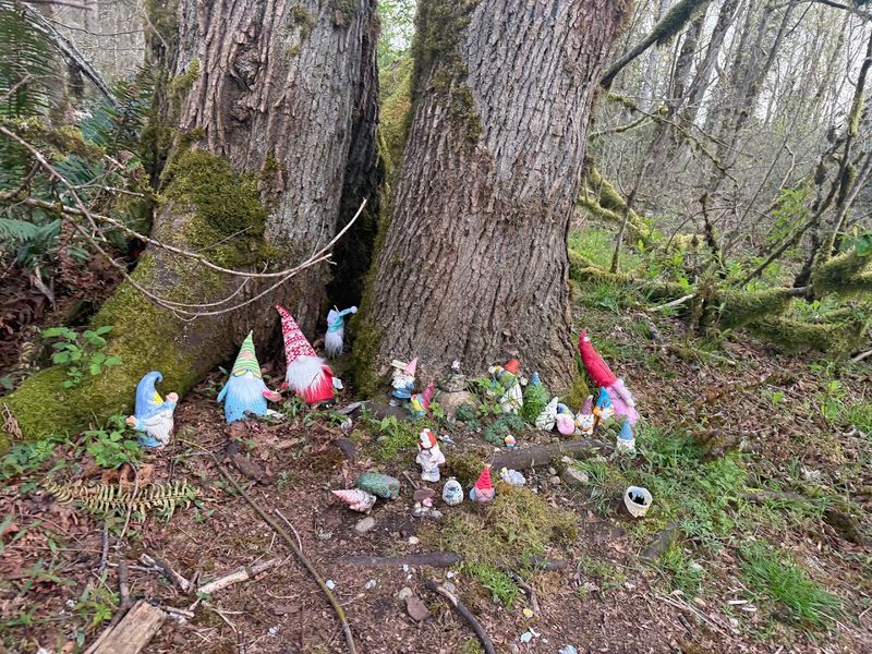 Washington's Most Enchanting Hidden Gnome Trail Will Spark Your Inner Child - Decor Hint Animals, Fairies, And Santa Claus Join The Gnome Party