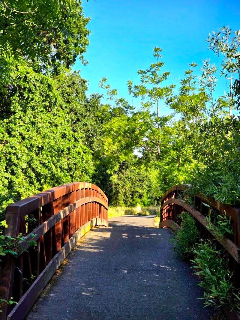 This 32-Mile Northern California Bike Trail Follows An Old Railroad Through Six Parks And Five Downtowns - Decor Hint Cyclists Can Connect With Other Regional Trails