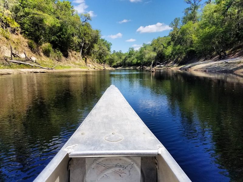 Suwannee River, Live Oak