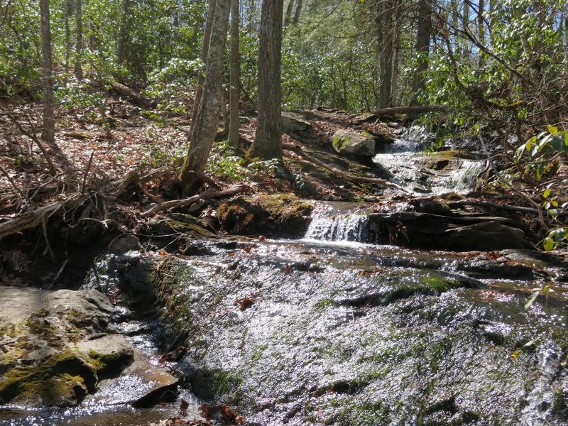 Great Spring Water Flow