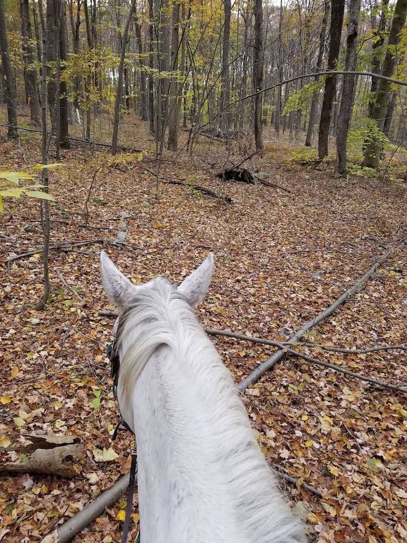 Riding Camps For Young Guests