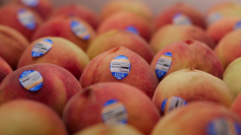 California Peach Season Is Here And These 10 Orchards Belong On Your Summer Road Trip - Decor Hint Brandt Farms, Reedley