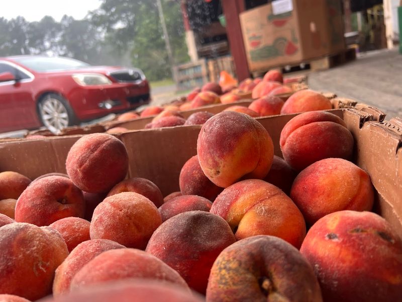Pee Dee Orchards & Ice Cream