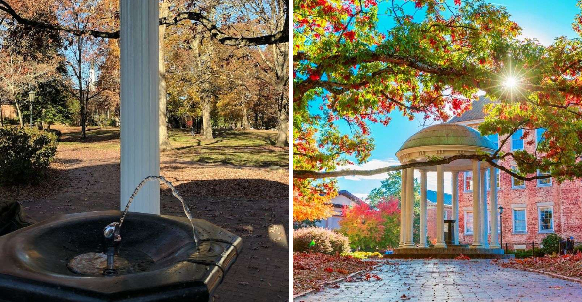 People Say One Sip From This Famous North Carolina Well Can Bring Good Luck - Decor Hint