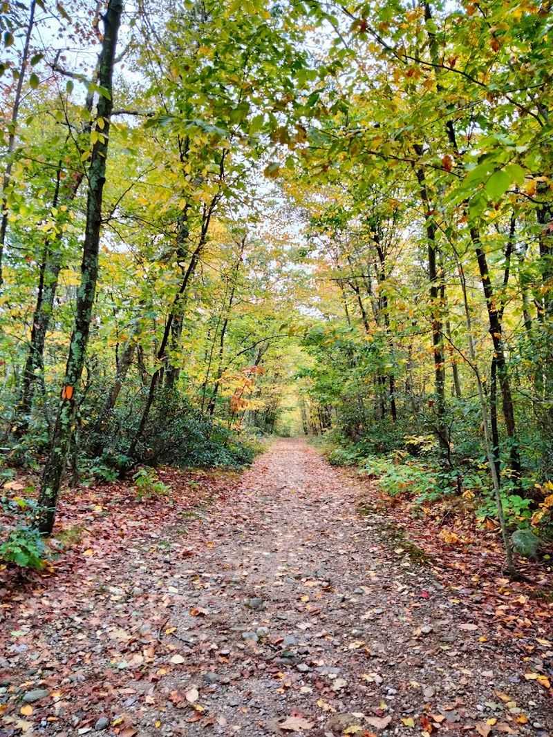 9 Of Connecticut's Longest Bike Trails With Surprisingly Beautiful Scenery - Decor Hint Rockland Challenge XC Loop At Rockland Preserve, Madison
