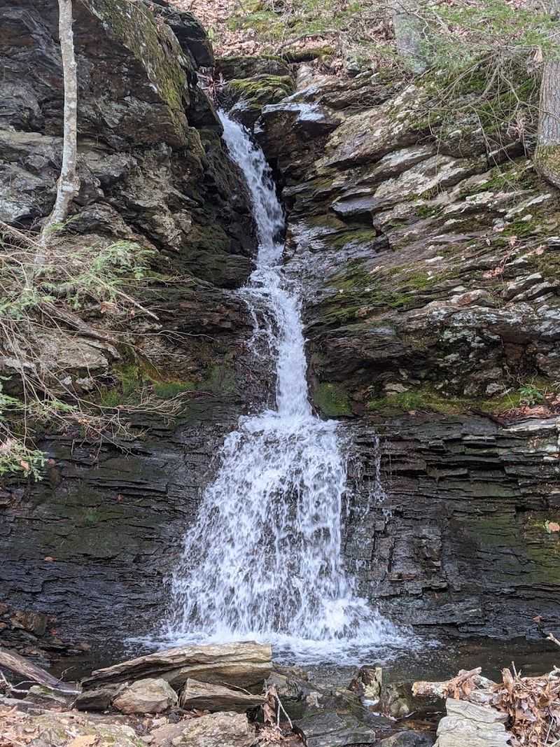 Nature At Every Turn