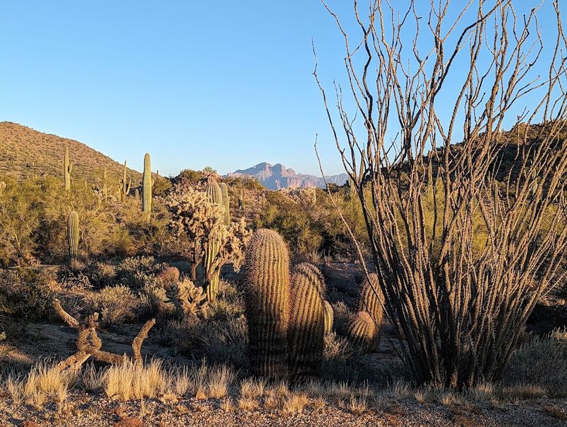 Usery Mountain Regional Park
