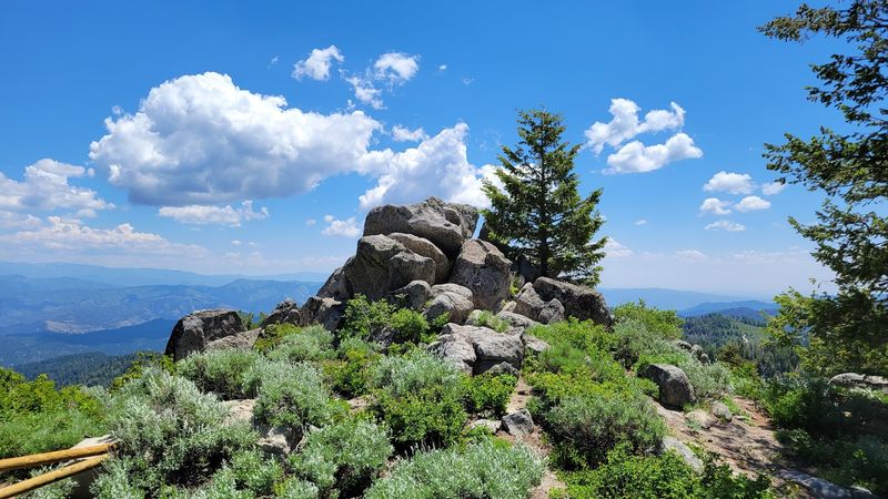 This Idaho Mountain Playground Has Summer Trails, Bluebird Views, And A Coaster Flying Through The Trees - Decor Hint Watch Mountain Bikers Fly Through The Trees