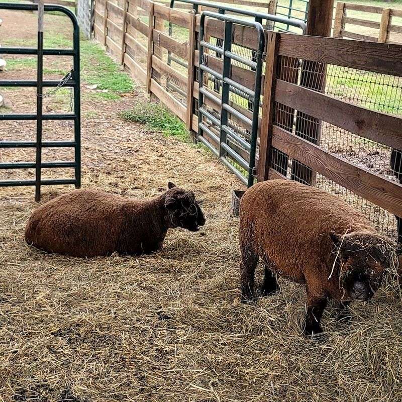 A Petting Zoo That Wins Over Even The Skeptics