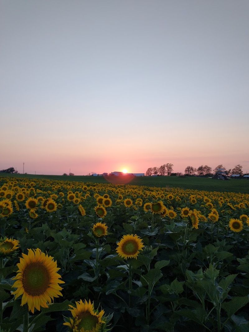 What Makes It Worth The Drive