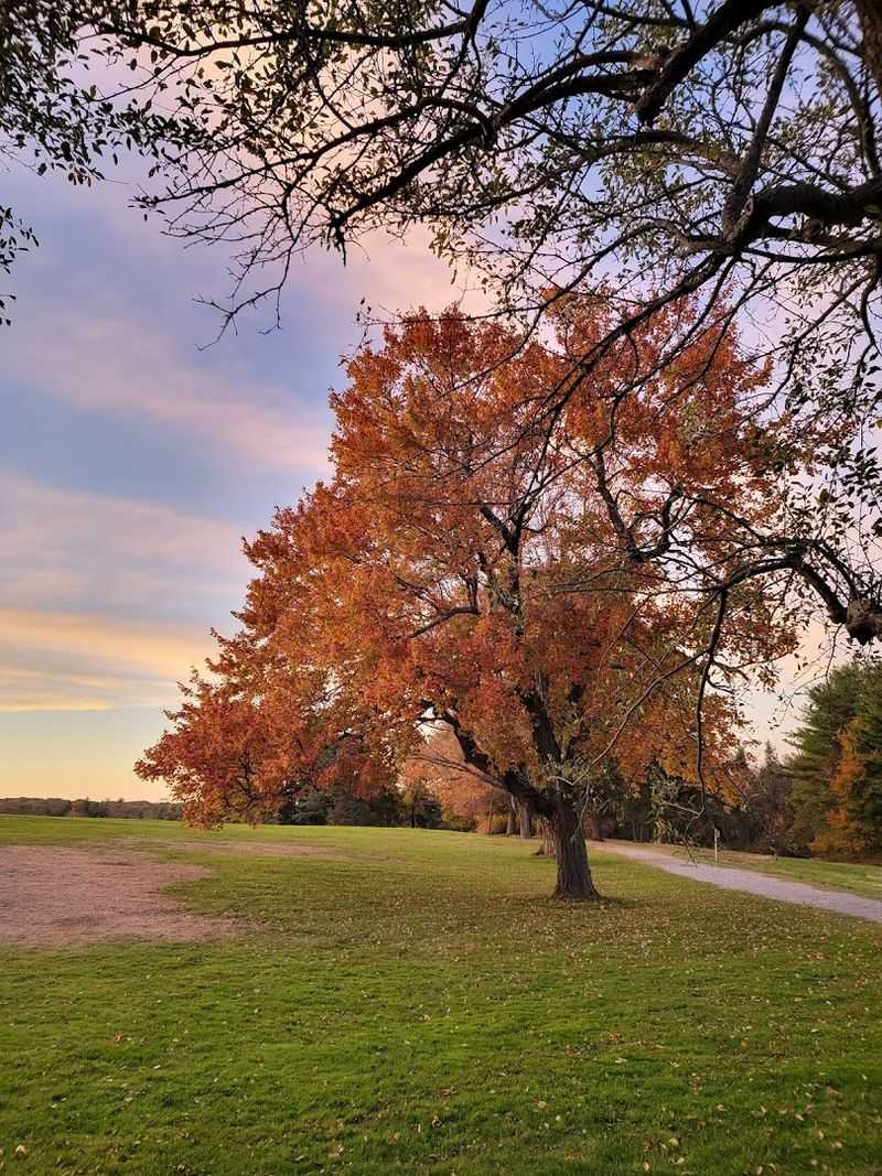 This Spot In Connecticut Is The Kind Of Place That Makes You Slow Down Instantly - Decor Hint Golden Hour Feels Especially Dreamy
