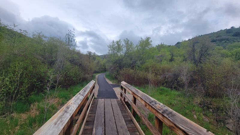Side Trails For The Curious