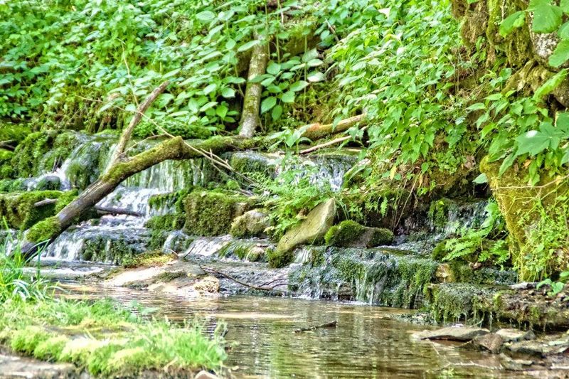 10 Short Kentucky Waterfall Hikes Under Two Miles That Deliver Big Time Drama - Decor Hint Mill Springs Park Waterfalls, Wayne County