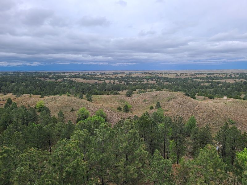 Nebraska's 10 Best Places To Hunt For Agates, Fossils, Petrified Wood, And Other Natural Treasures - Decor Hint Nebraska National Forest, Near Halsey