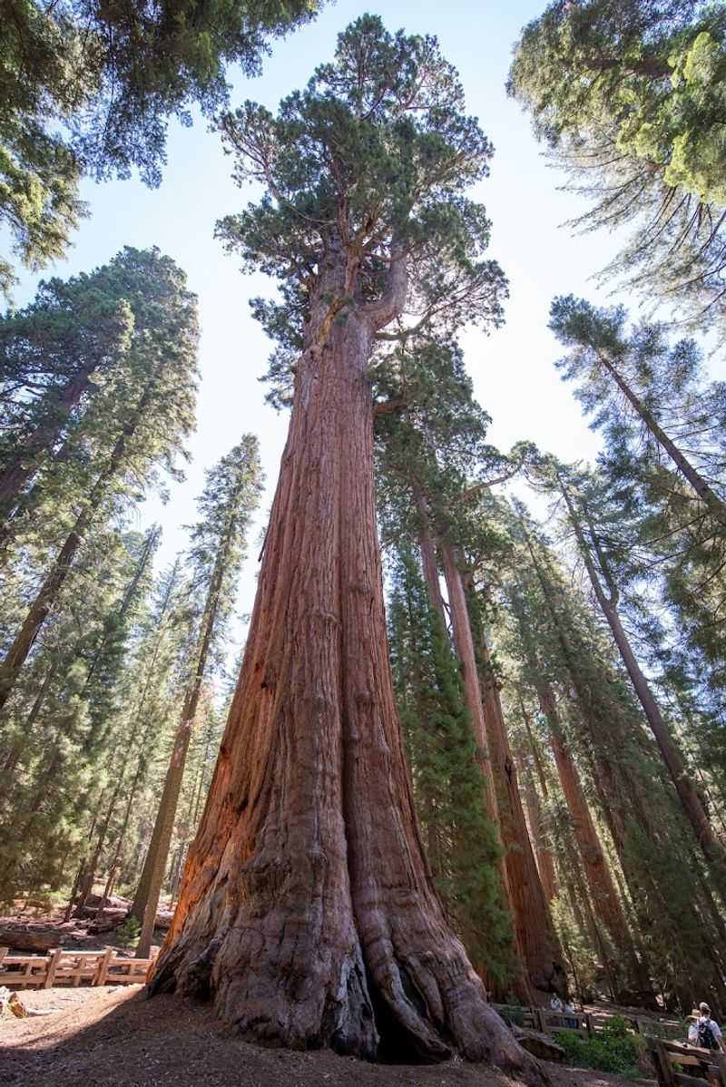 Sequoia National Park, Tulare County