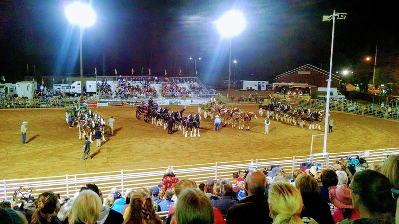 Nevada County Fair, Grass Valley, August 12–16, 2026