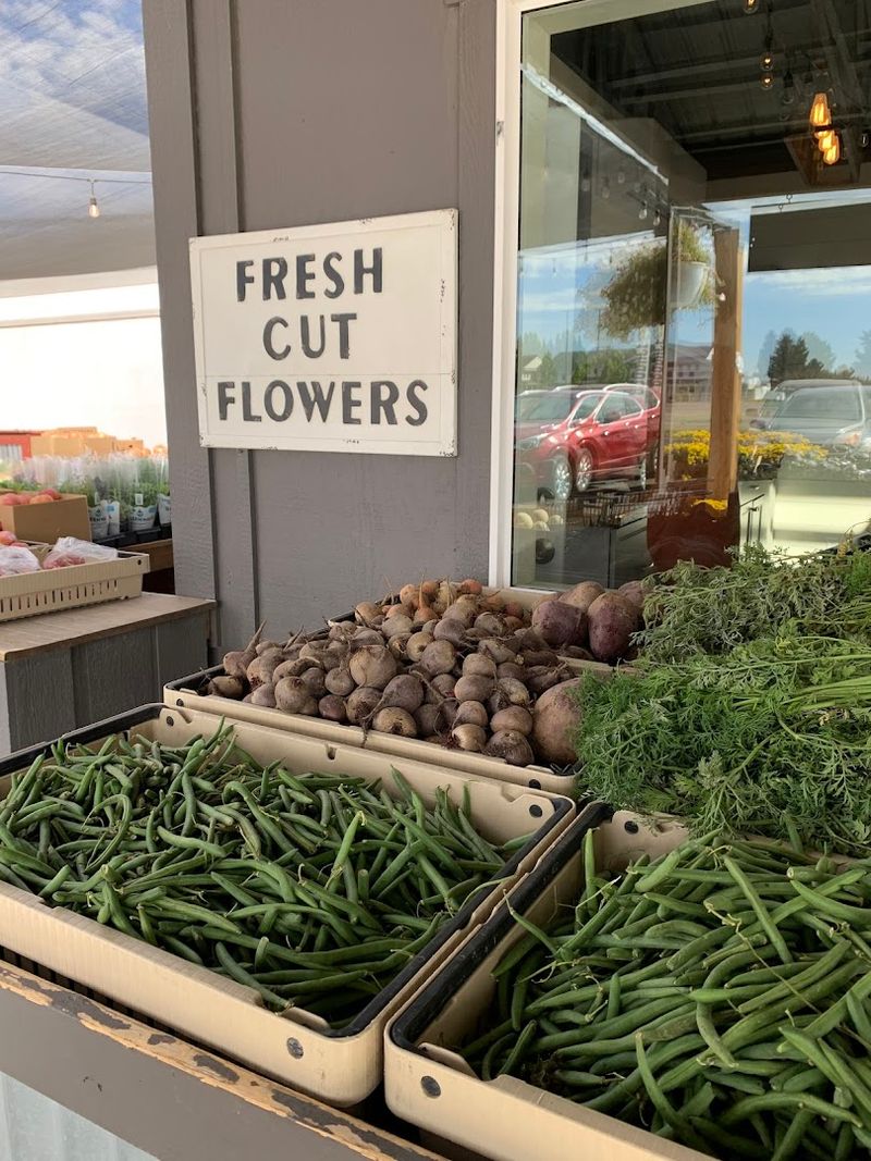 Catch The Seasonal Picks Before Summer Swaps Them Out