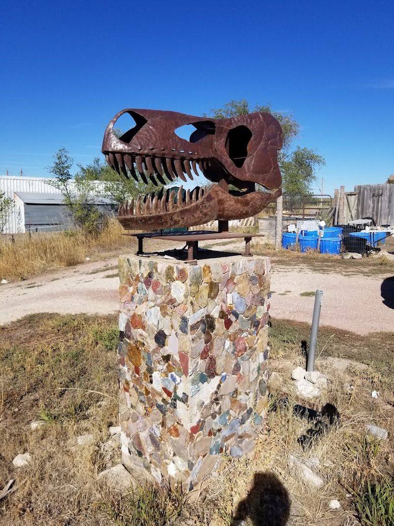 Nebraska's 10 Best Places To Hunt For Agates, Fossils, Petrified Wood, And Other Natural Treasures - Decor Hint Prairie Agate Rock Shop and Fossil Museum, Crawford